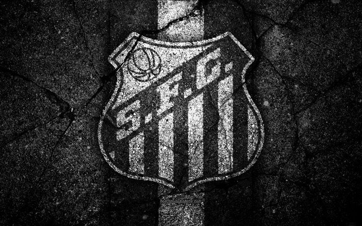 Holan conta com equipe particular e faz “lição de casa” antes de chegar ao Santos